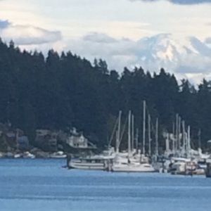 Meet your Posher, Cathy